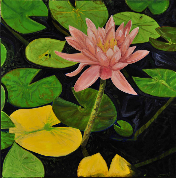 Lily Pads II, 2011, </>Oil on canvas, </>30"h x 30"w